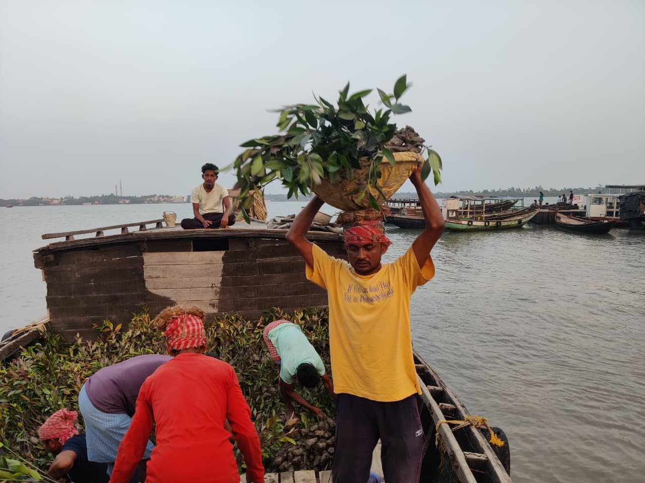 Workers carrying baskets of saplings across a boat deck during mangrove restoration logistics