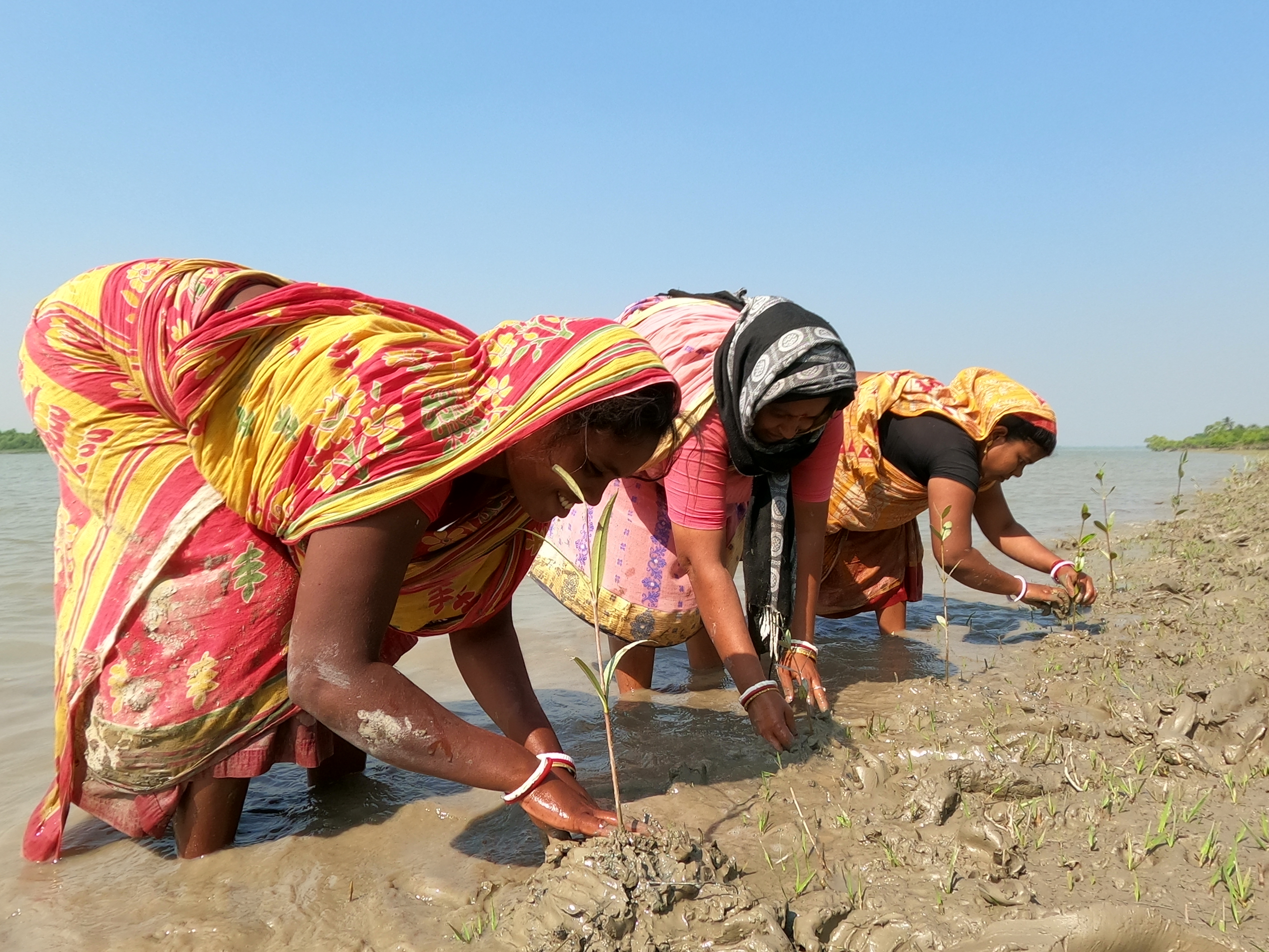 Ecosystem restoration and land stewardship in the field