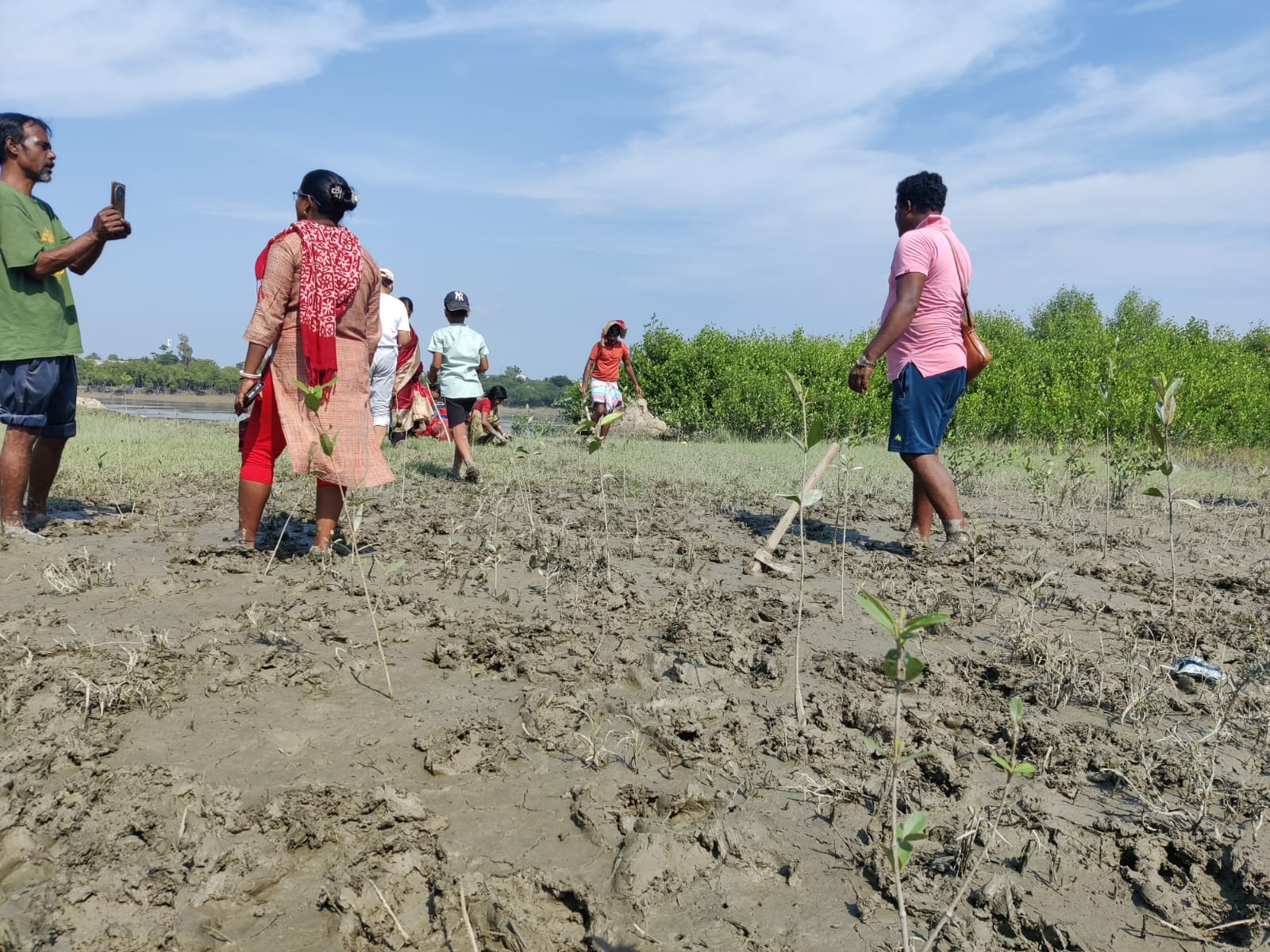 Community restoration team walking through a mangrove plantation site beside the river