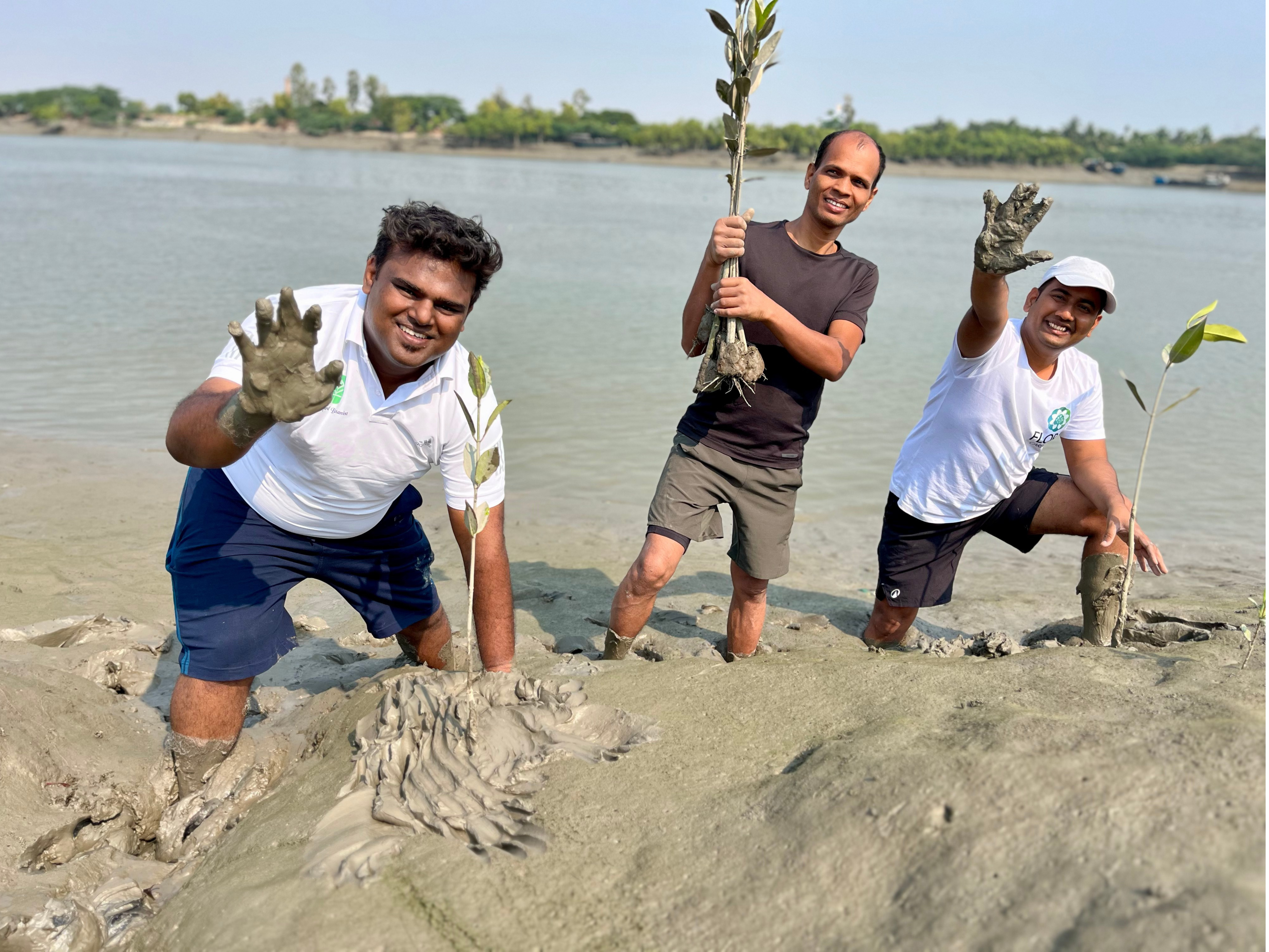 Mangrove reforestation and coastal ecosystem work